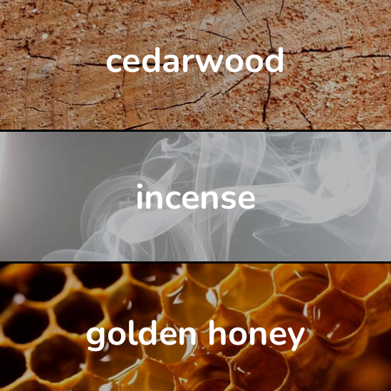 Woodphoria Eau de Perfume