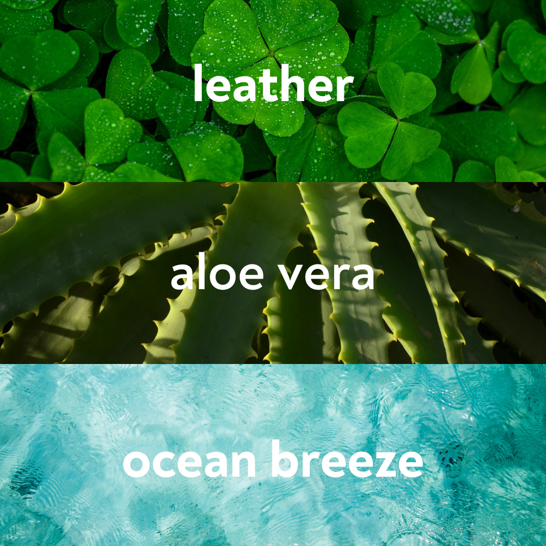 Beach House Car Diffuser