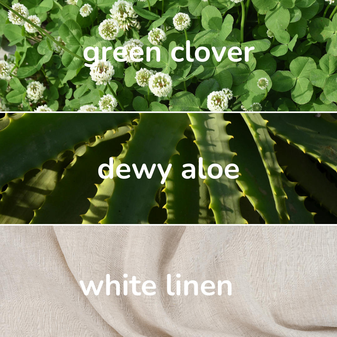 Beach House Room + Linen Spray | Disney Resort Inspired