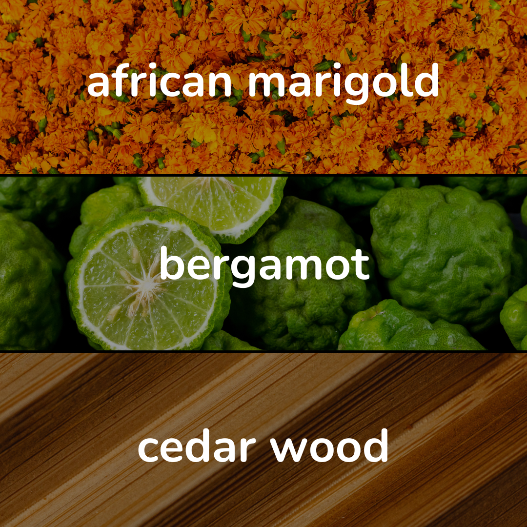 Sahara Eau de Perfume