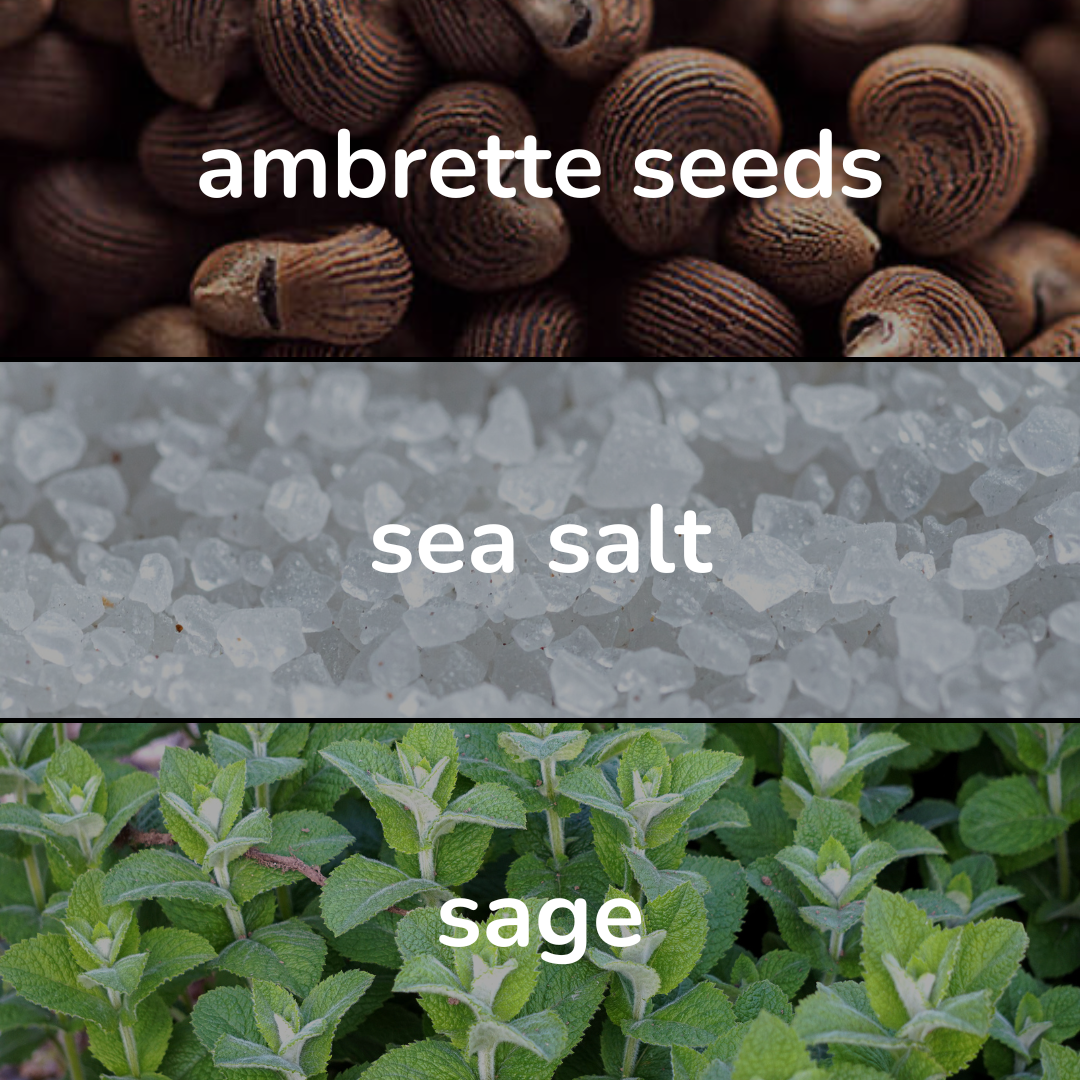 Sailor Eau De Perfume