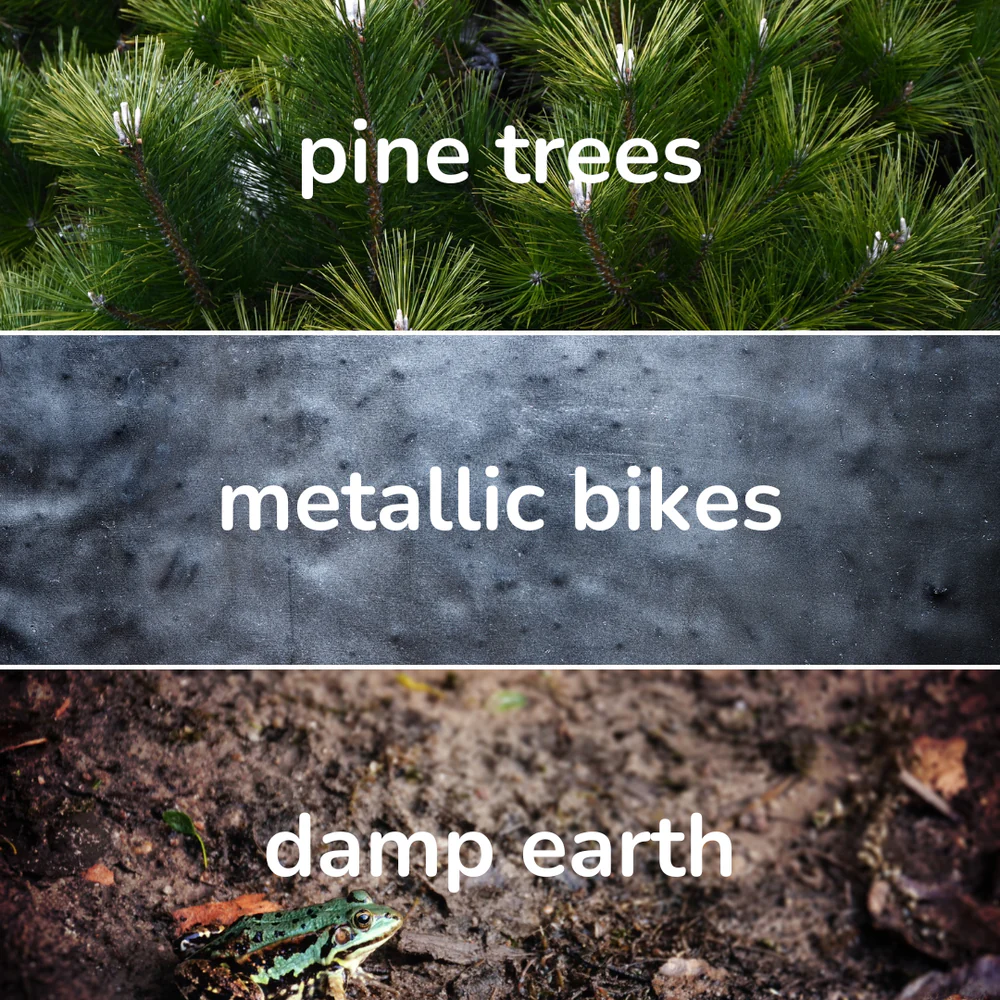 Bike Flight Wax Melt